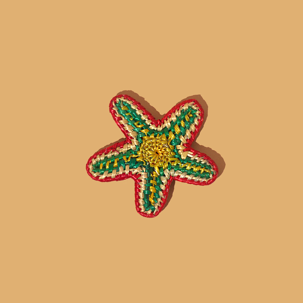 Starfish Brooch - Multi